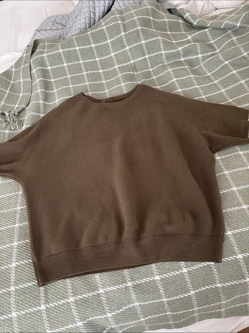 Quince Brown Crewneck Short-Sleeve Sweater